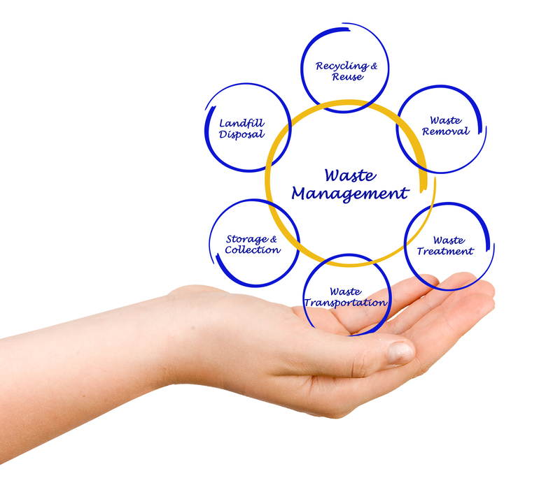 Innovative Techniques for Office Cleanout Success